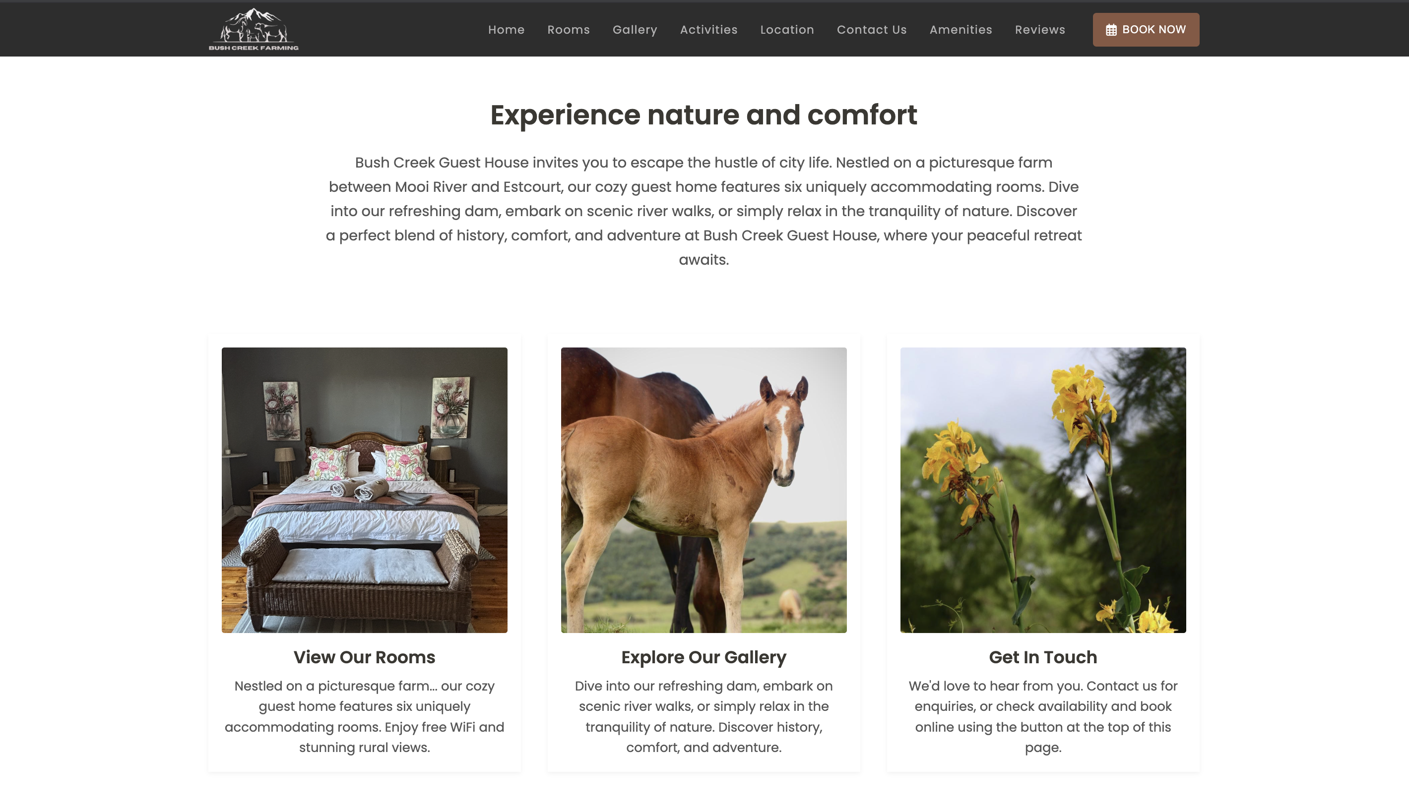 Bush Creek Guest House — hero and property overview